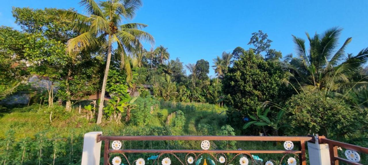 Sri Sedana Homestay Sidemen  Bagian luar foto